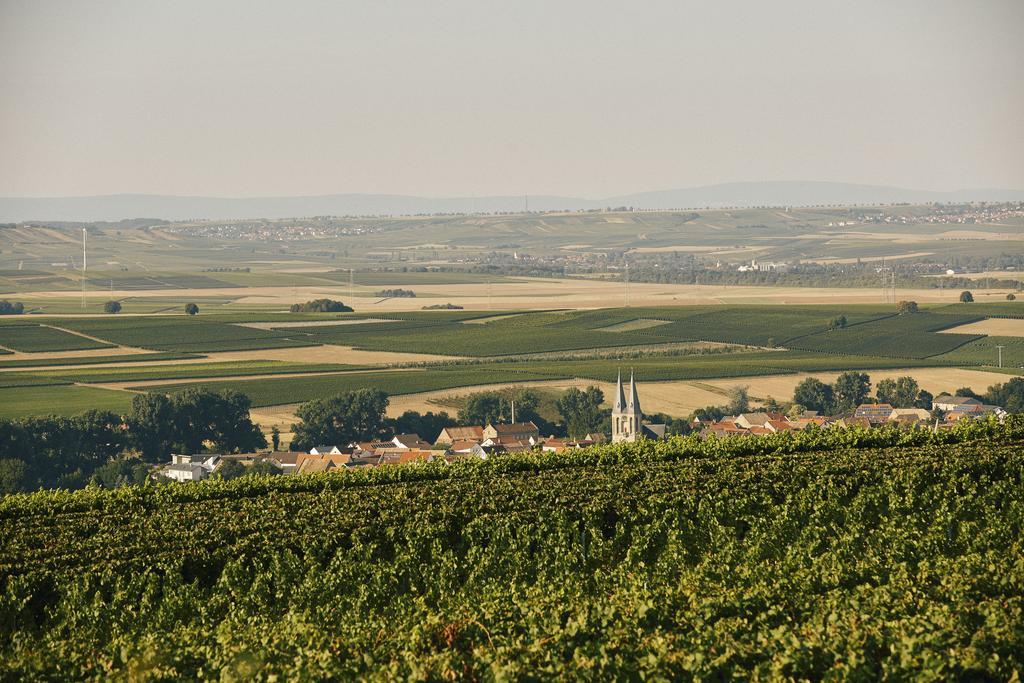 Meyerhof - Weingut, Vinothek & Gastehaus Hotell Flonheim Exteriör bild