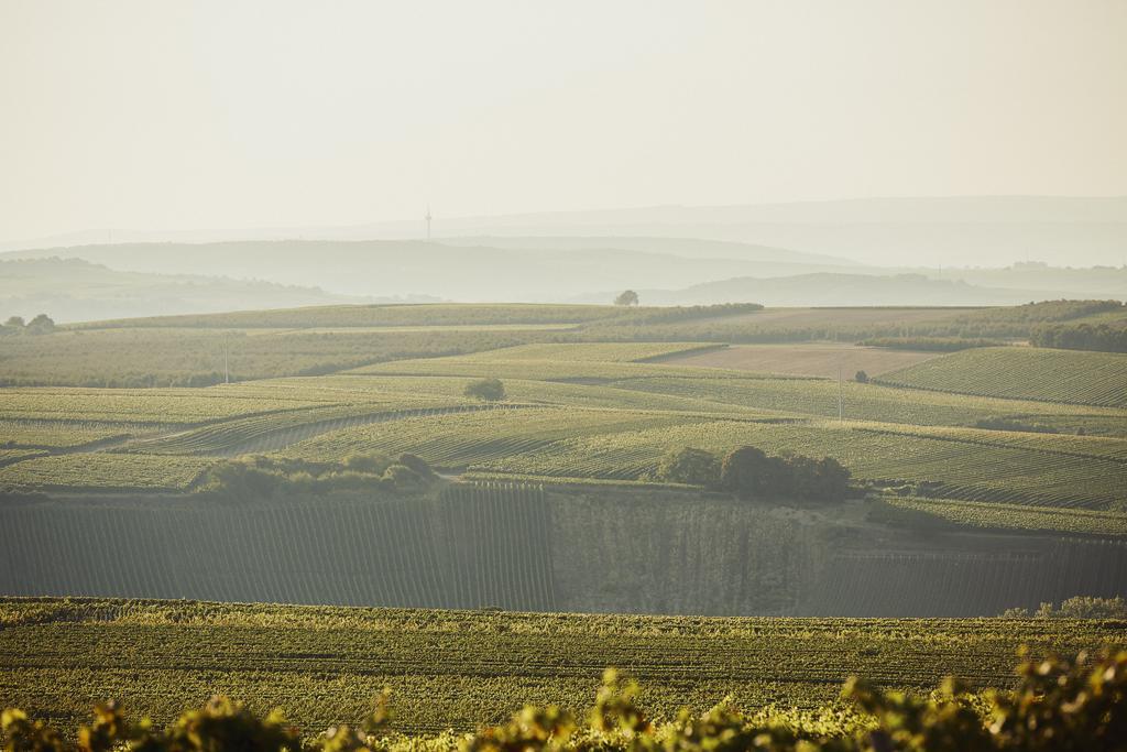 Meyerhof - Weingut, Vinothek & Gastehaus Hotell Flonheim Exteriör bild