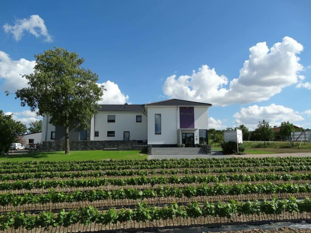 Meyerhof - Bioweingut, Vinothek & Gaestehaus Flonheim Exteriör bild